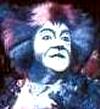 Barry Haywood (older toms' standby) as a Chorus Cat