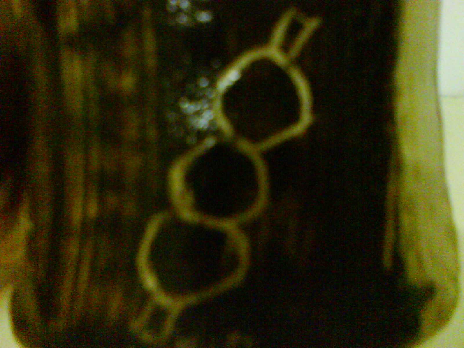 �����M�l2