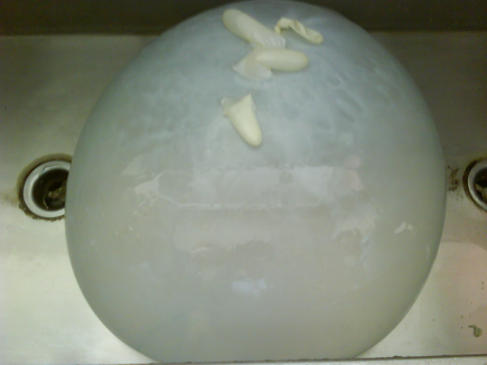 �W�j���y!!